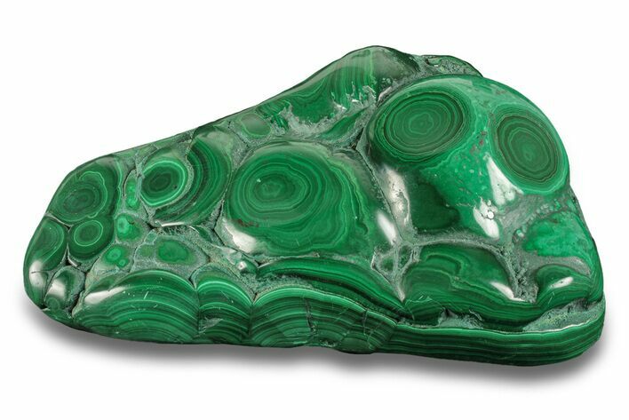 Banded Polished Malachite Specimen - Congo #255242